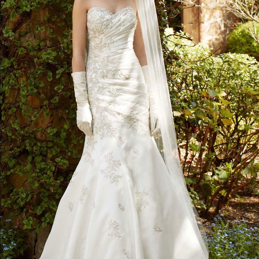Wedding dress from David’s bridal!